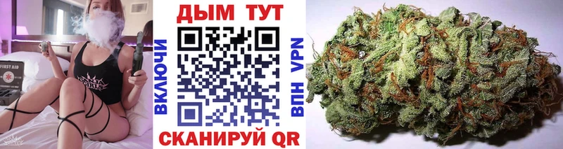 Конопля THC 21%  Яровое 